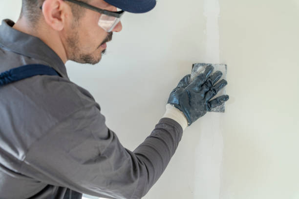 Best Wallpaper Removal and Painting  in USA